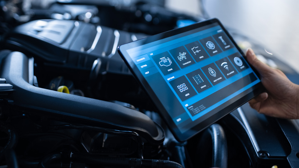 SERWIS MB-MASTERS ZGIERZ